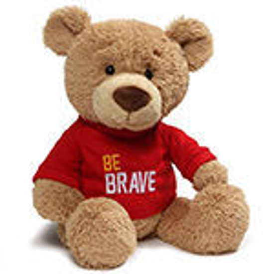 Picture of Be Brave Bear