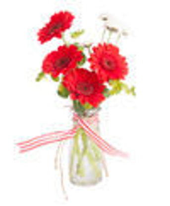 Picture of Floral arrangement - $24