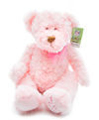 Picture of Plush bear - baby girl