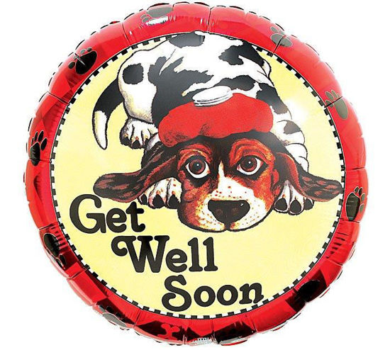 Get Well Soon Dog