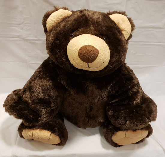 Picture of Teddy Bear  ( Color Varies )