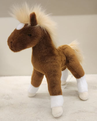 Picture of Douglas Pony
