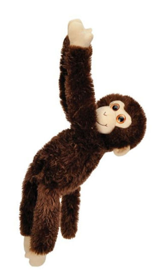 Picture of Hanging Monkey