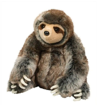 Picture of Sylvie Sloth