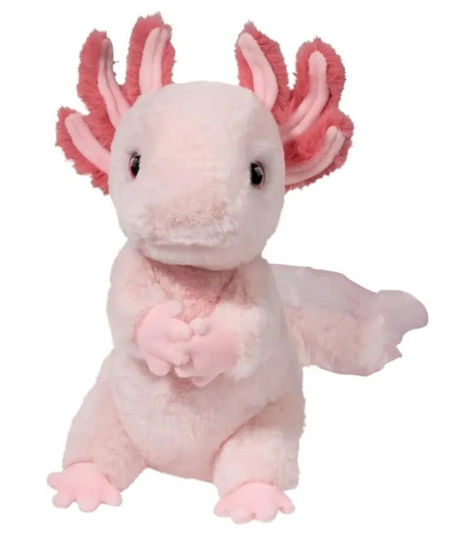 Picture of Luisa Axolotl