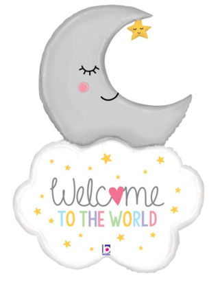 Picture of Welcome to the World Balloon