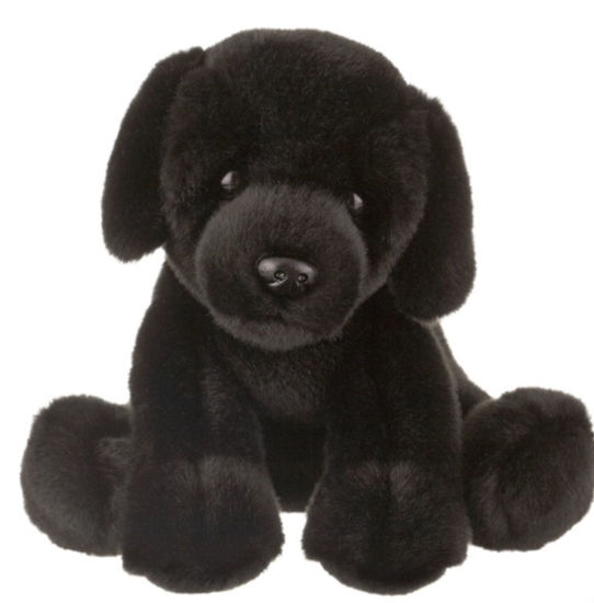 Picture of Black Lab