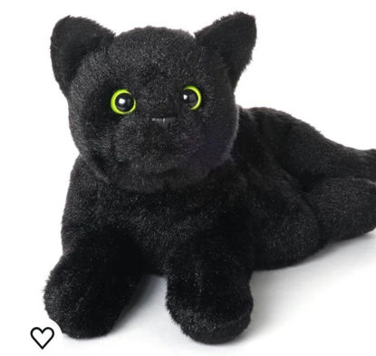 Picture of Black Cat