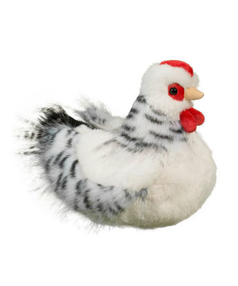 Picture of Chicken Salty the White Hen