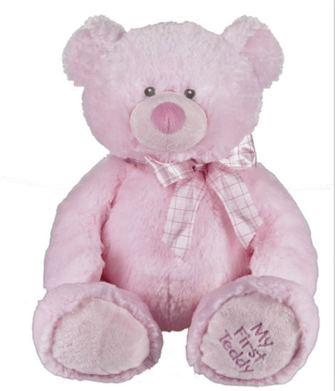 Picture of My First Teddy Pink