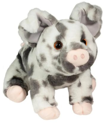 Picture of Zoinke Spotted Pig
