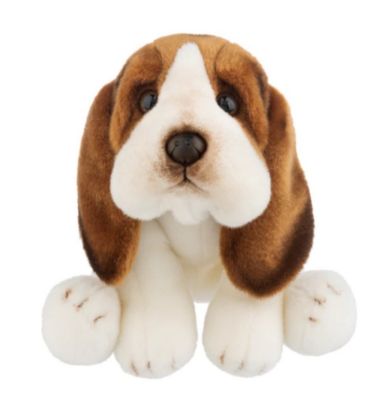 Picture of Bassett Hound Ganz