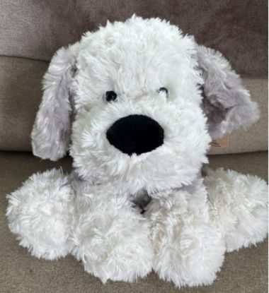 Picture of Dog Ganz