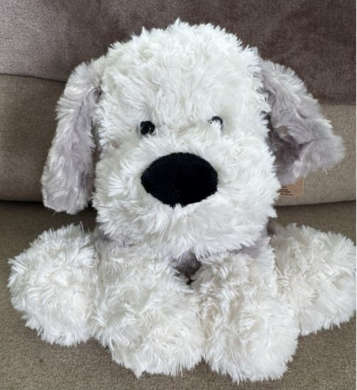 Picture of Dog Ganz