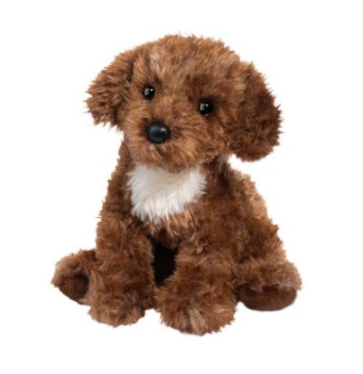 Picture of Darby Doodle Puppy