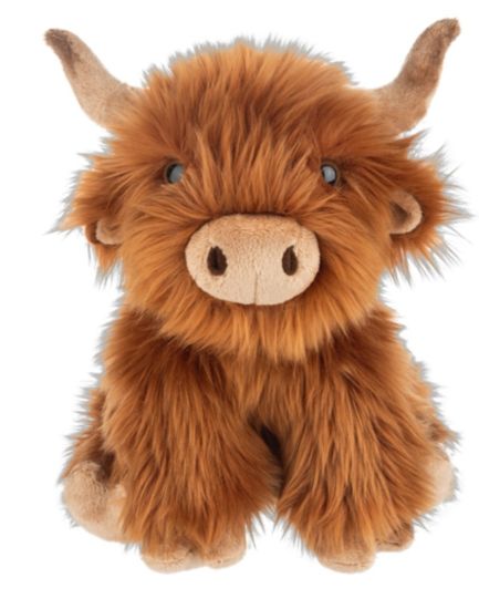 Picture of Highland Cow