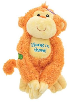 Picture of Hang in There!  Orange  Monkey
