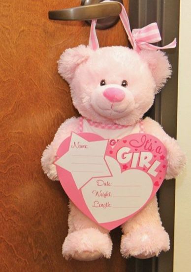 Picture of Pink Birth Announcement Bear