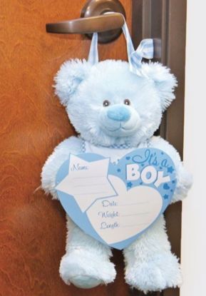 Picture of Blue Birth Announcement Bear