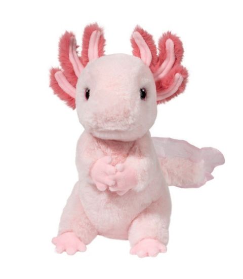 Picture of Luisa Axolotl