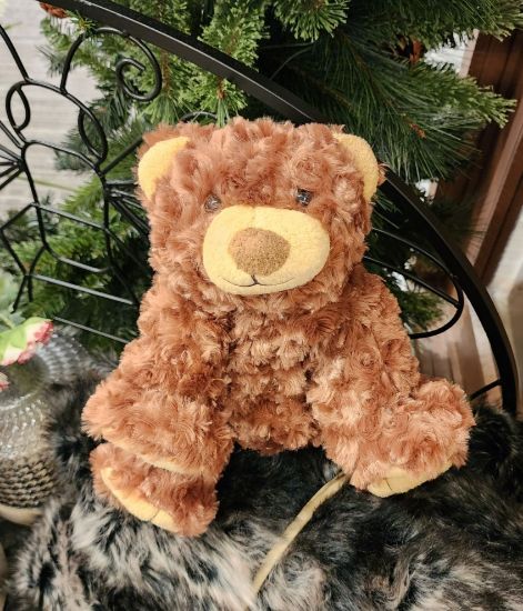 Picture of Curly Bear Jr. Brown
