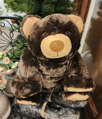 Picture of Bear