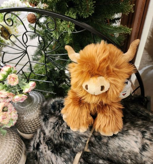 Picture of Highland Cow