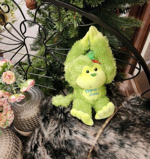 Picture of Hang in There!  Green Monkey
