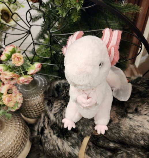 Picture of Luisa Axolotl