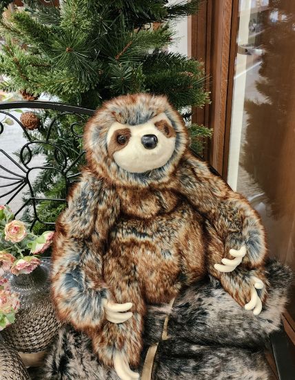 Picture of Sylvie Sloth