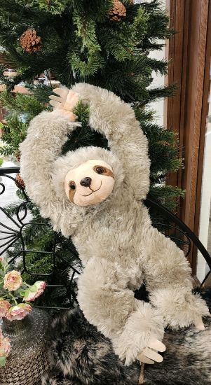 Picture of Hanging Sloth