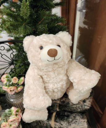 Picture of Curley Bear Beige Unipak