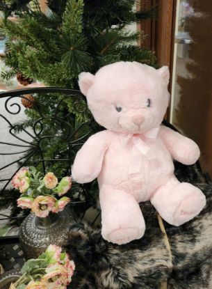Picture of My First Teddy Pink