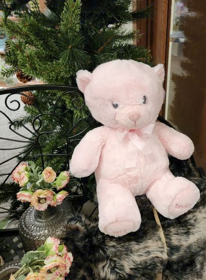 Picture of My First Teddy Pink