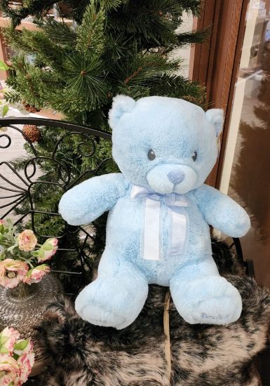 Picture of My First Teddy Blue
