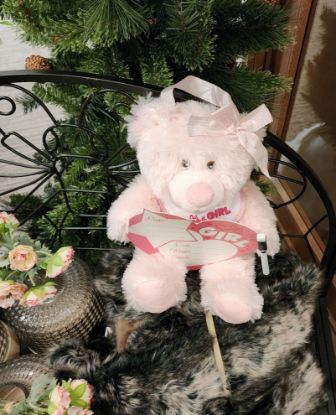 Picture of Pink Birth Announcement Bear