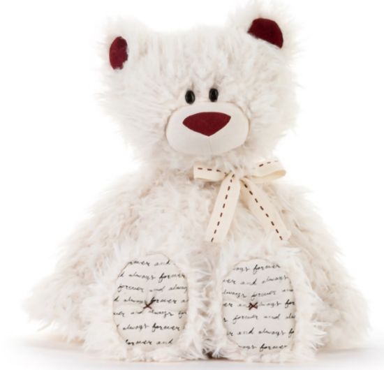 Picture of LOVED Bear