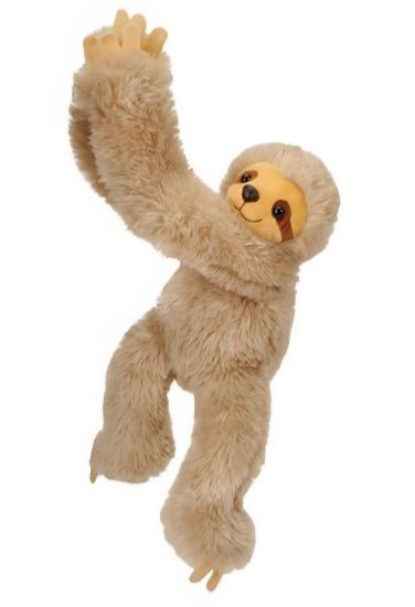 Picture of Hanging Sloth