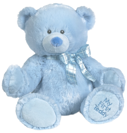 Picture of My First Teddy Blue Ganz