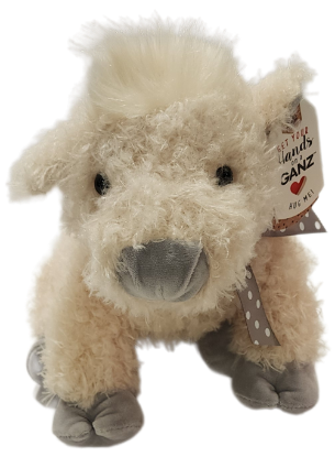 Picture of Harlan Highland Cow