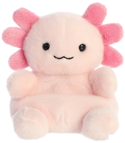Picture of Ax  Axolotl