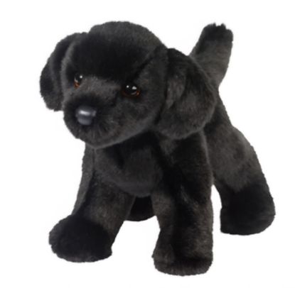 Picture of Black Lab