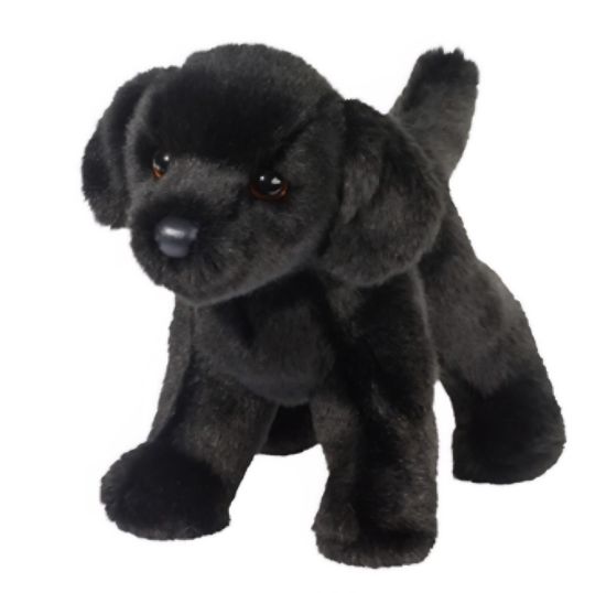 Picture of Black Lab