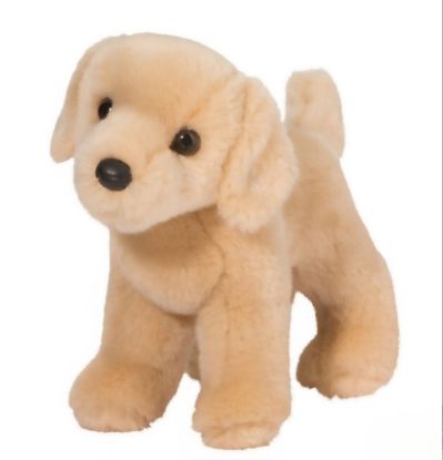 Picture of Yellow Lab