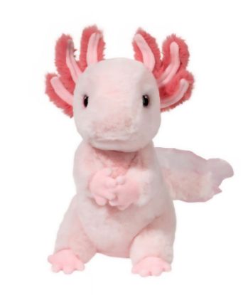 Picture of Pink Axolotl