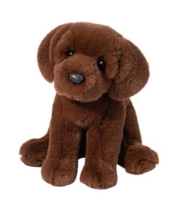 Picture of Chocolate Lab