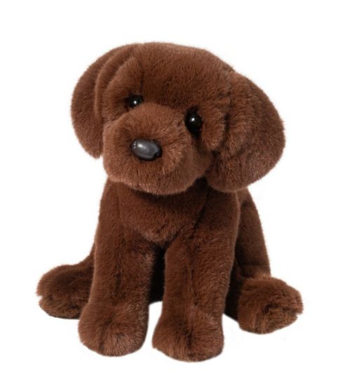 Picture of Chocolate Lab