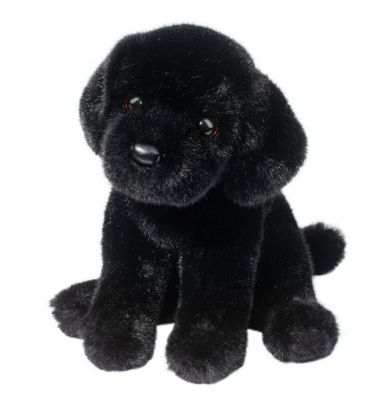 Picture of Black Lab