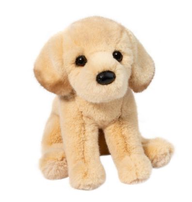 Picture of Yellow Lab