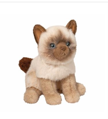 Picture of Fu Siamese Cat